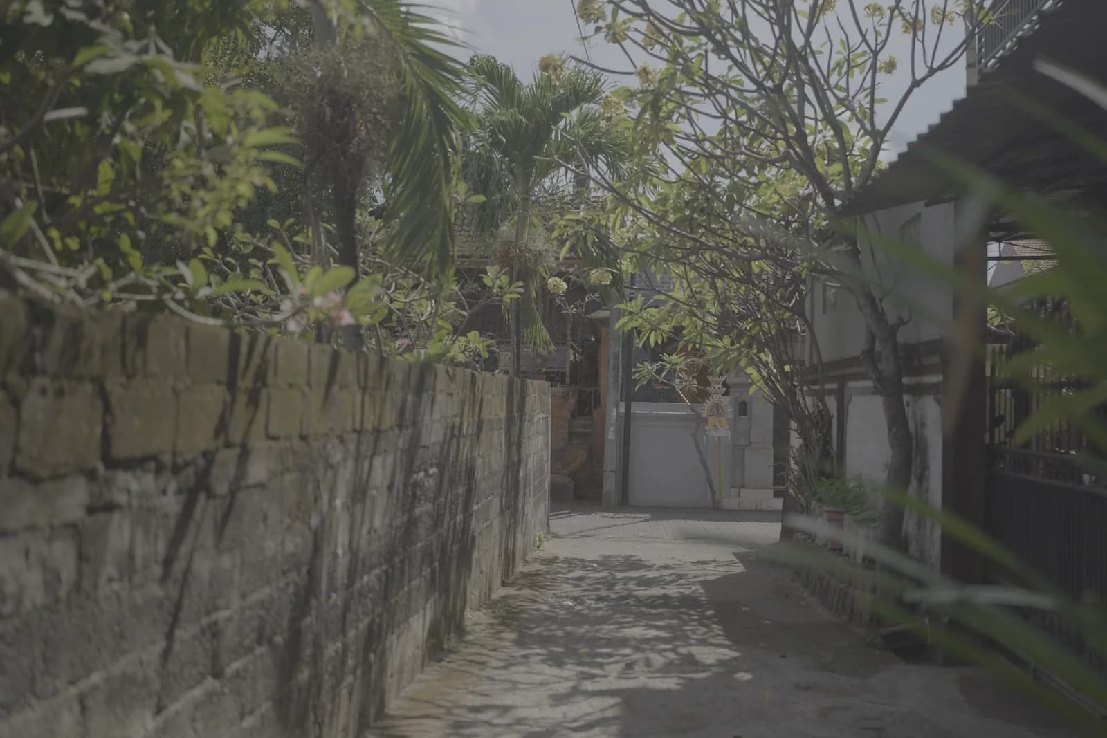 Film: the same frame in log and with the look — LOG