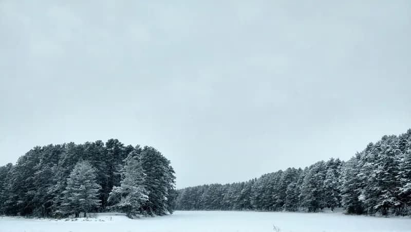 Белая Холуница, Россия — уличная фотография, ноябрь 2016