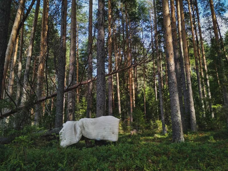 Белая Холуница, Россия — уличная фотография, август 2018