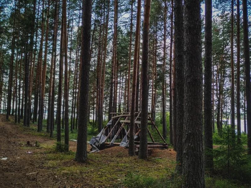 Белая Холуница, Россия — уличная фотография, август 2018