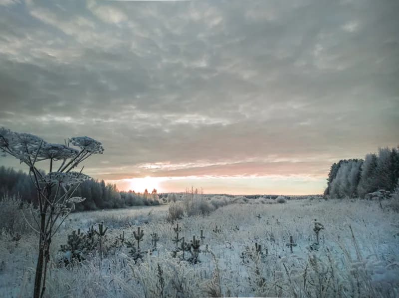 Белая Холуница, Россия — уличная фотография, декабрь 2018