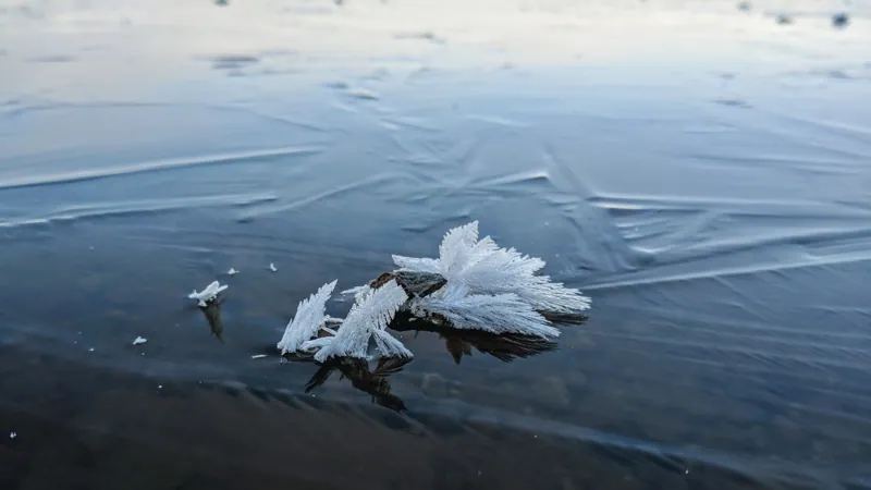 Белая Холуница, Россия — уличная фотография, ноябрь 2018