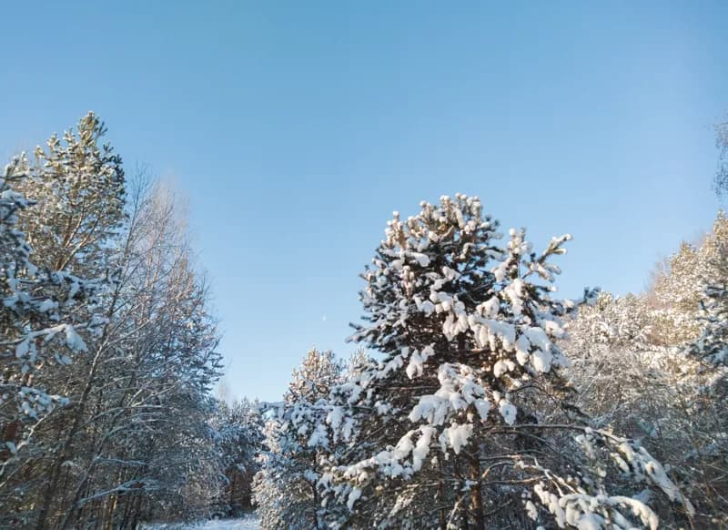 Белая Холуница, Россия — уличная фотография, ноябрь 2018