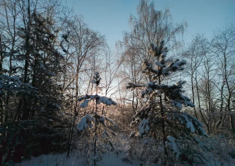 Белая Холуница, Россия — уличная фотография, ноябрь 2018