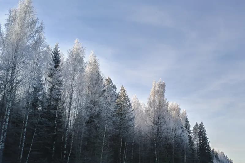 Белая Холуница, Россия — уличная фотография, ноябрь 2018