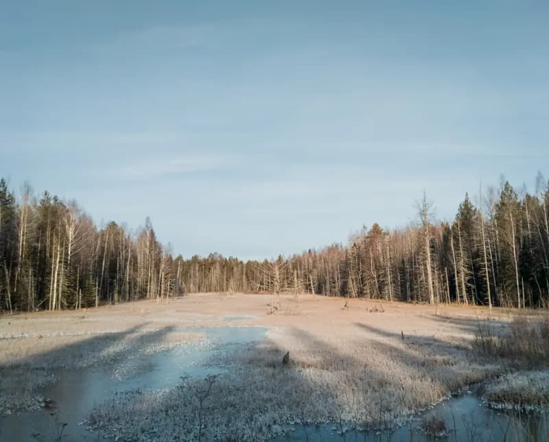 Белая Холуница, Россия — уличная фотография, ноябрь 2018