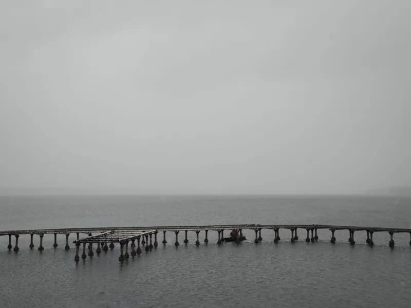 Белая Холуница, Россия — уличная фотография, октябрь 2018