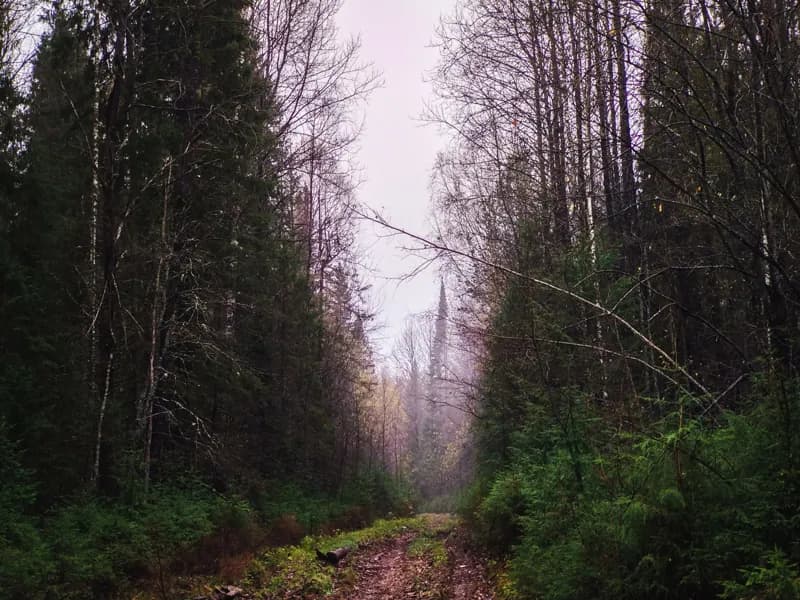 Белая Холуница, Россия — уличная фотография, октябрь 2018