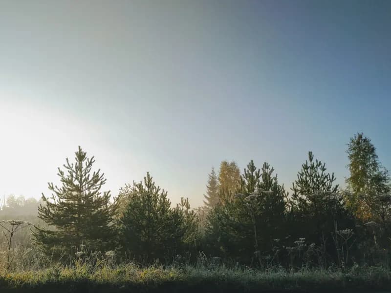 Белая Холуница, Россия — уличная фотография, сентябрь 2018