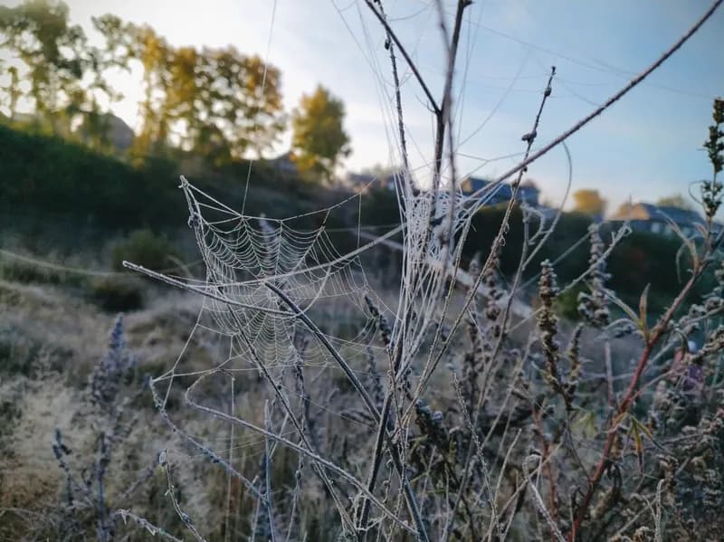 Белая Холуница, Россия — уличная фотография, сентябрь 2018