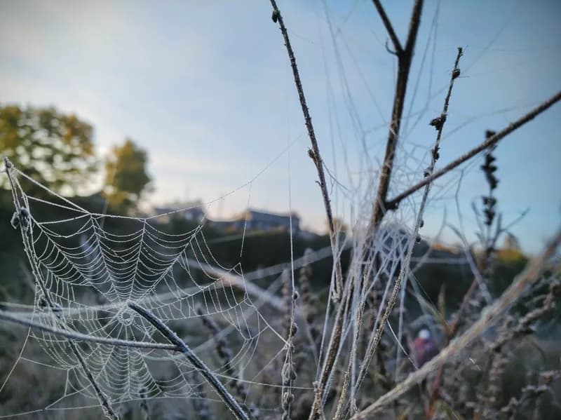 Белая Холуница, Россия — уличная фотография, сентябрь 2018
