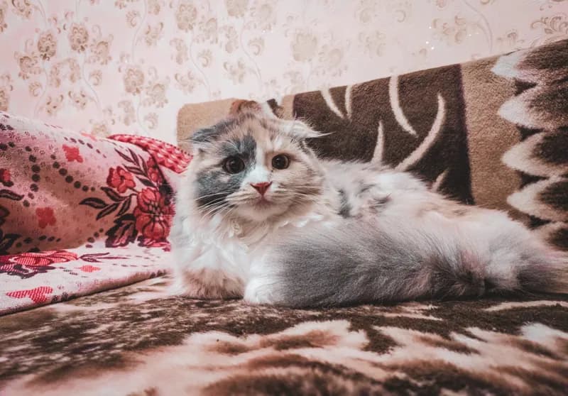 Белая Холуница, Россия — уличная фотография, февраль 2019