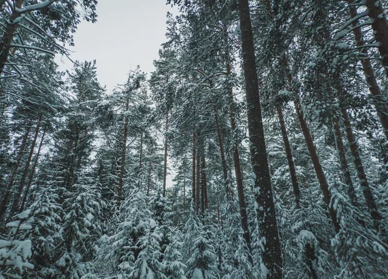 Белая Холуница, Россия — уличная фотография, январь 2019