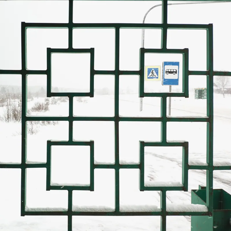 Белая Холуница, Россия — уличная фотография, январь 2019