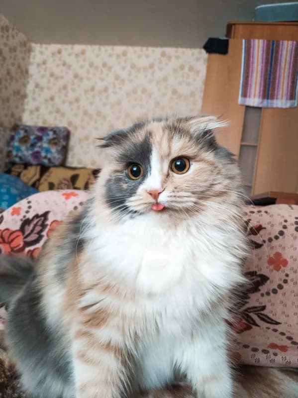 Белая Холуница, Россия — уличная фотография, март 2019