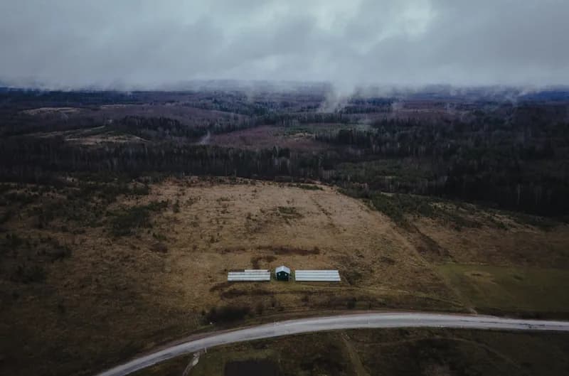 Белая Холуница, Россия — уличная фотография, ноябрь 2020