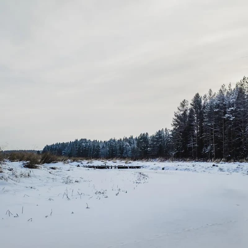 Киров, Россия — уличная фотография, декабрь 2020