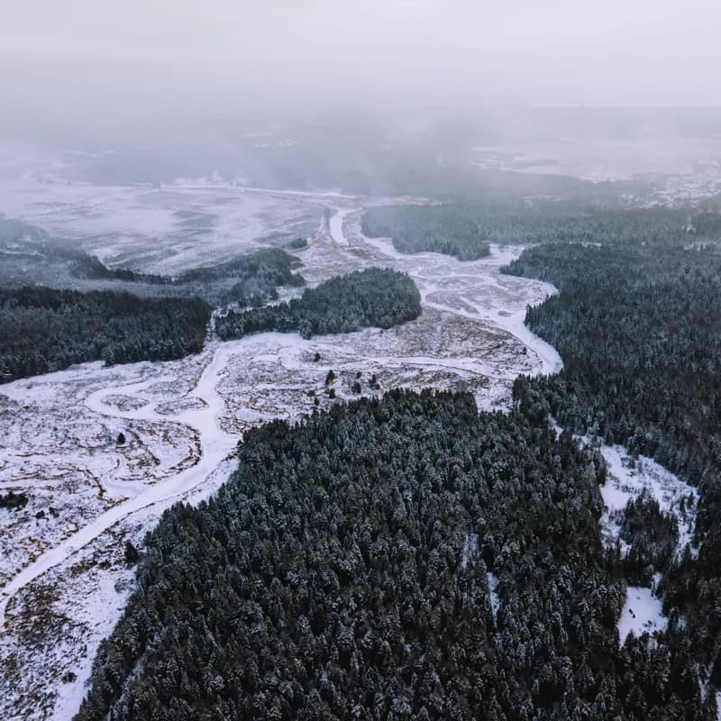 Белая Холуница, Россия — уличная фотография, декабрь 2020