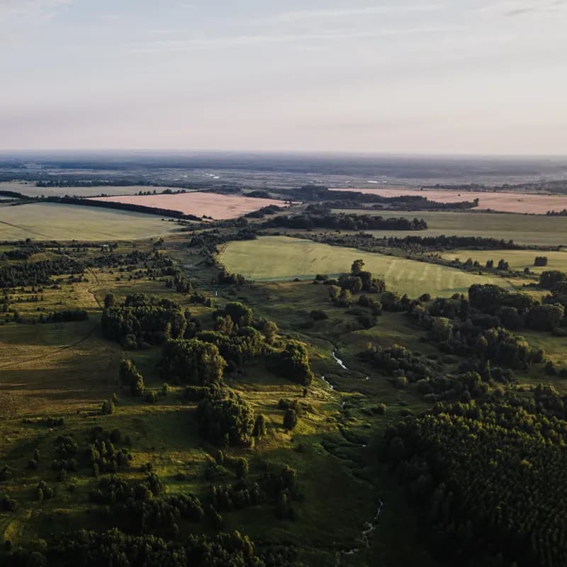 Советск, Россия — уличная фотография, июль 2021