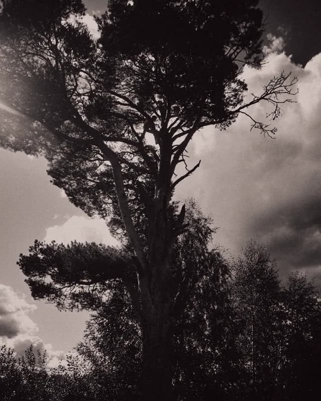 Безбожник, Россия — уличная фотография, июль 2021