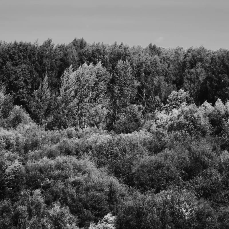 Киров, Россия — уличная фотография, июль 2021