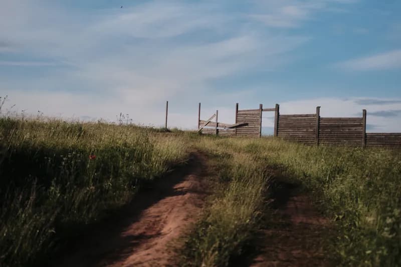 Белая Холуница, Россия — уличная фотография, июнь 2021