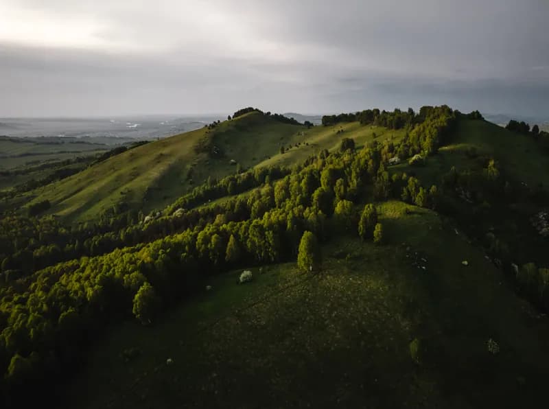 Алтай, Россия — уличная фотография, май 2021