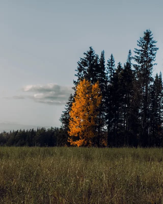 Киров, Россия — уличная фотография, ноябрь 2022