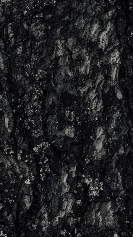Белая Холуница, Россия — уличная фотография, апрель 2023