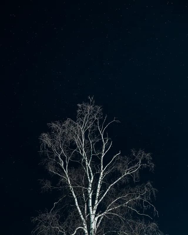 Белая Холуница, Россия — уличная фотография, апрель 2023