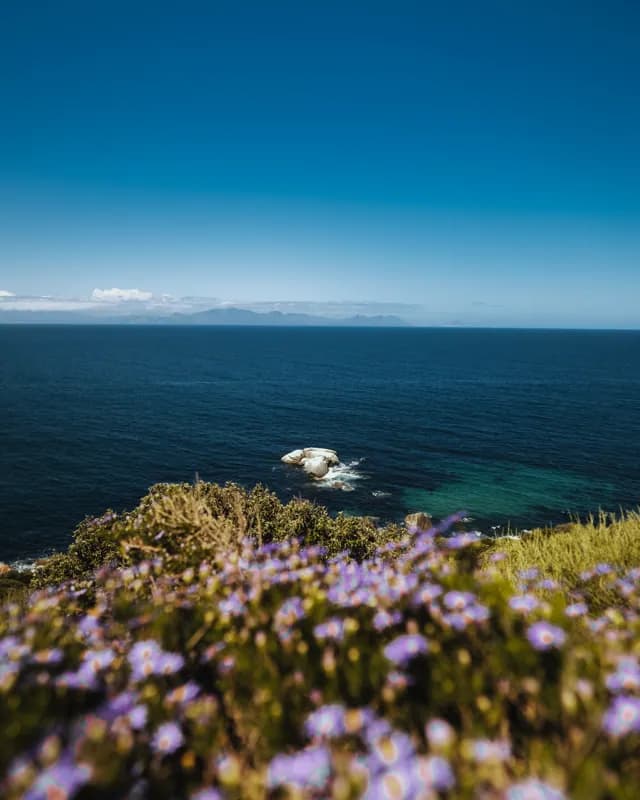 Cape Town, South Africa — street photography, October 2024