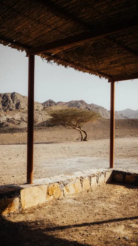 Fujairah, UAE — street photography, September 2024