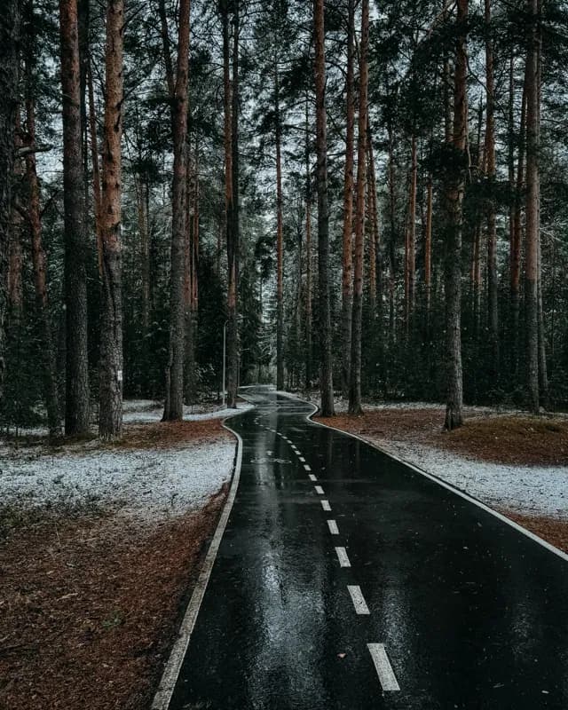 Белая Холуница, Россия — уличная фотография, июнь 2025