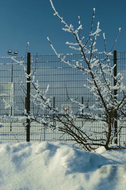 Белая Холуница, Россия — уличная фотография, февраль 2026