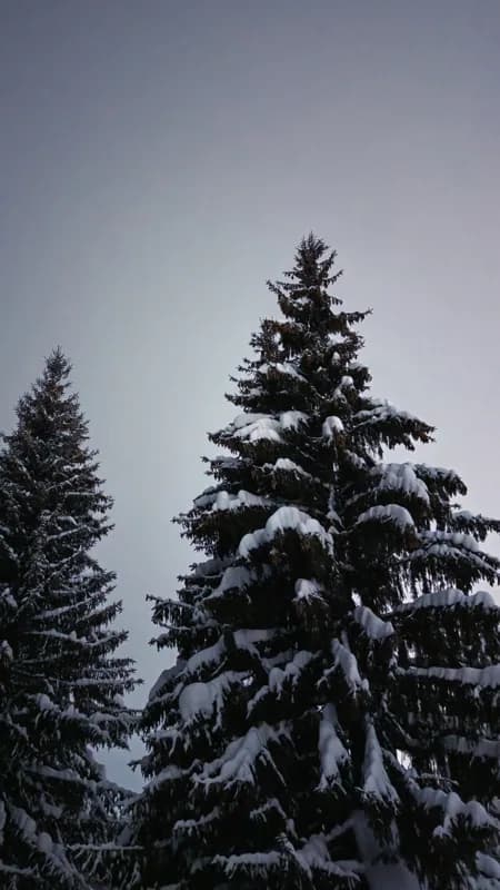Белая Холуница, Россия — уличная фотография, январь 2026