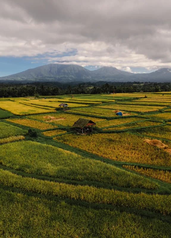 Bali, Bali — street photography, July 2026