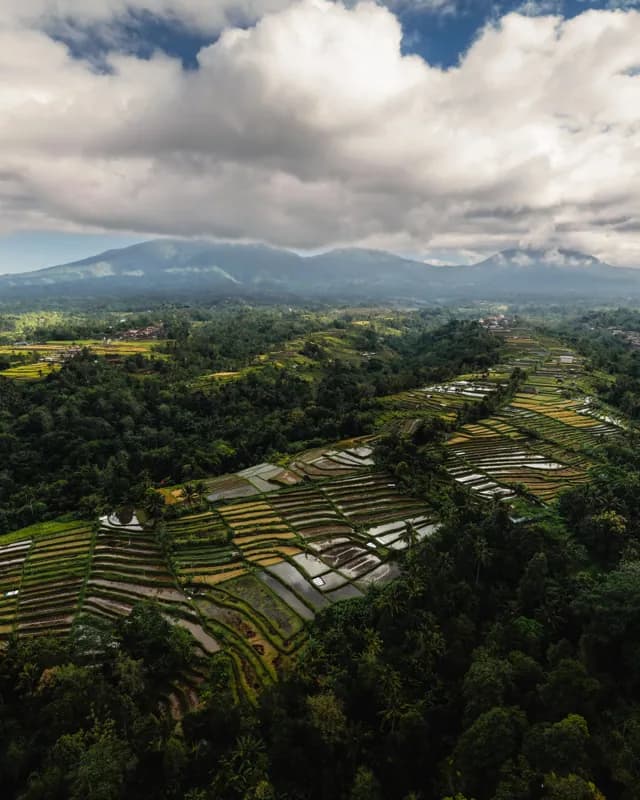 Bali, Bali — street photography, July 2026