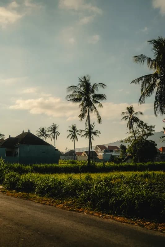 Bali, Bali — street photography, July 2026