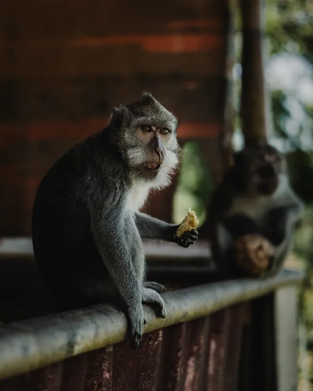 Amed, Bali — street photography, July 2026