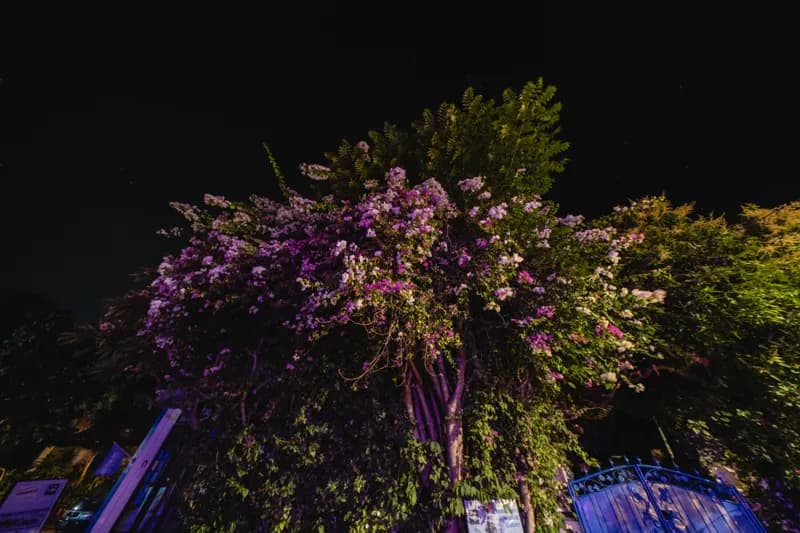 Amed, Bali — street photography, July 2026