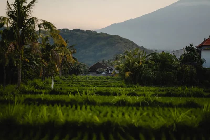 Amed, Bali — street photography, July 2026