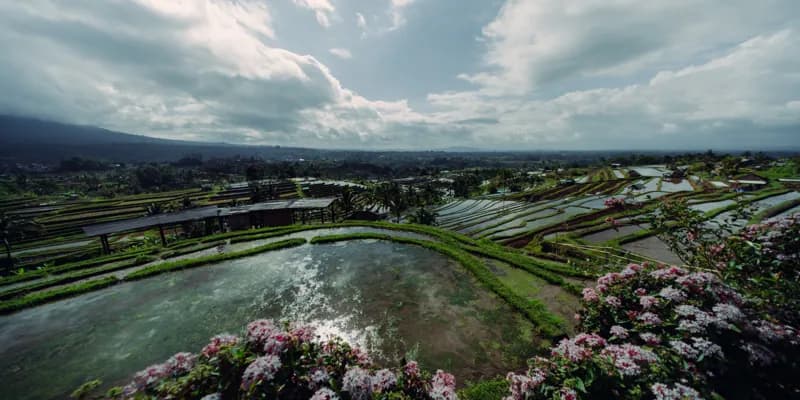 Bali, Bali — street photography, July 2026