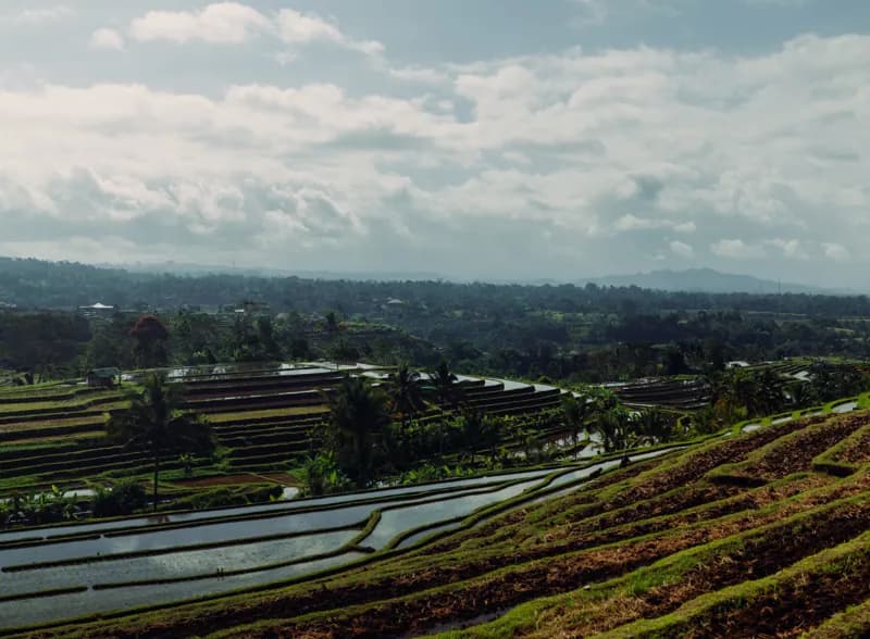 Bali, Bali — street photography, July 2026
