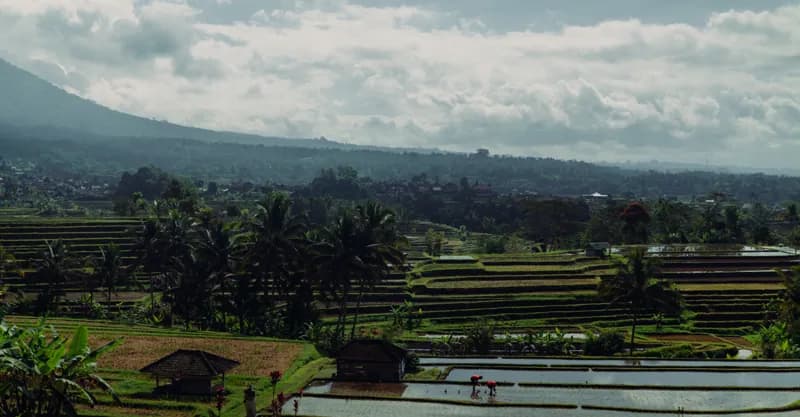 Bali, Bali — street photography, July 2026