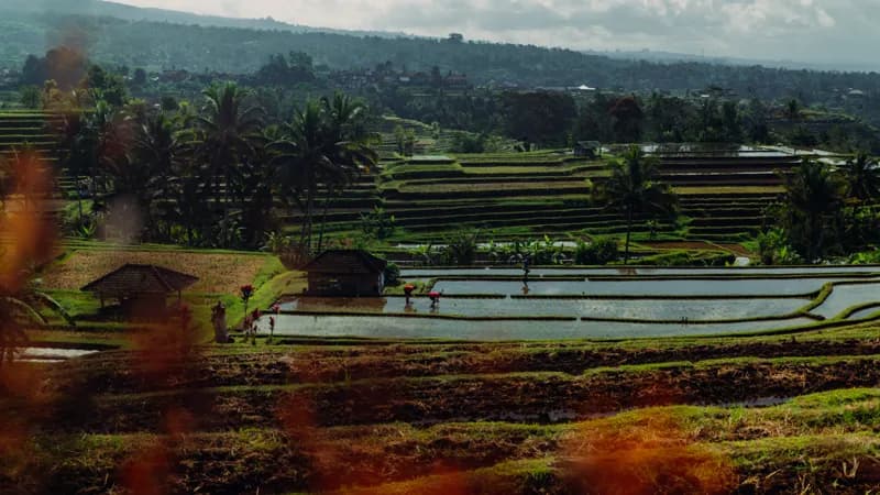 Bali, Bali — street photography, July 2026