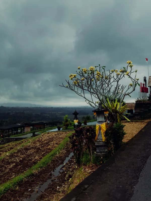 Bali, Bali — street photography, July 2026