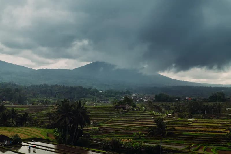 Bali, Bali — street photography, July 2026
