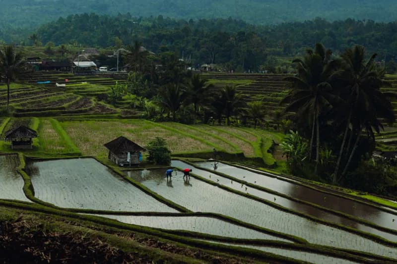Bali, Bali — street photography, July 2026