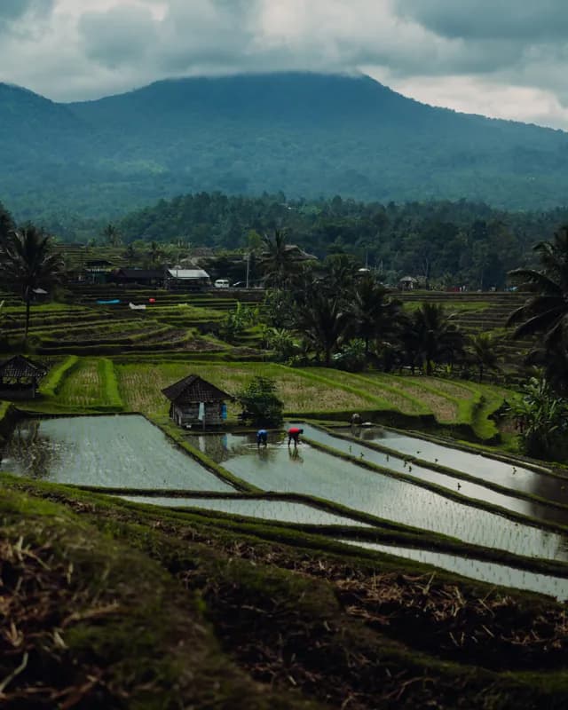 Bali, Bali — street photography, July 2026