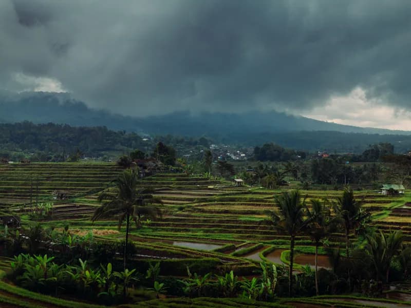 Bali, Bali — street photography, July 2026